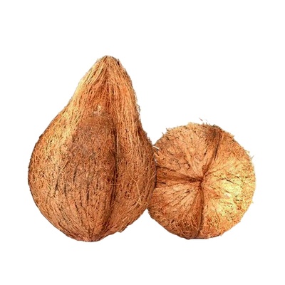 PCK COCONUT WITH WATER