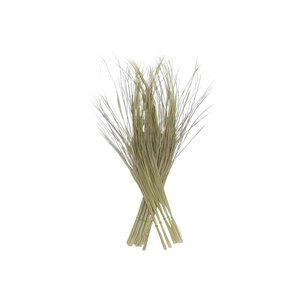 DARBHA GRASS (FOR POOJA)