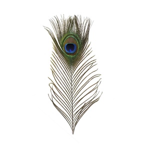 PCK FEATHER