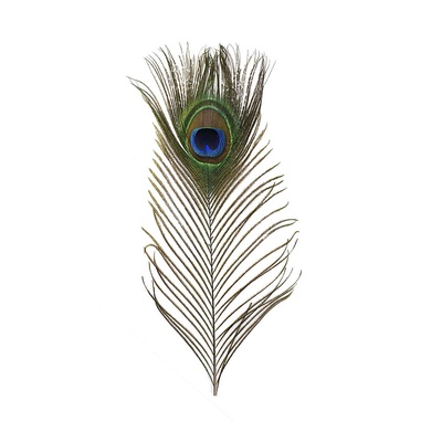 PCK FEATHER