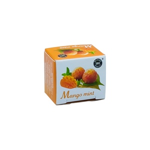 101 MANGO MINT 1 PC