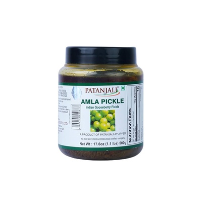 PATANJALI AMLA PICKLE 500 GM